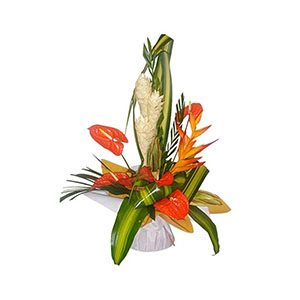 Création bouquet fleurs tropicales Martinique